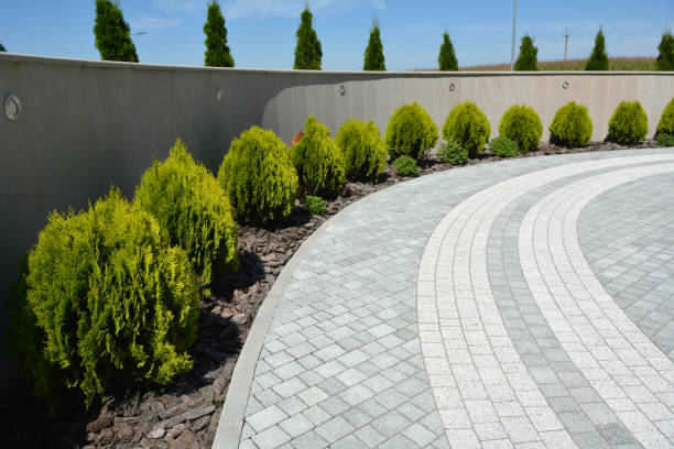 Best Affordable Driveway Pavers  in Lacoste, TX